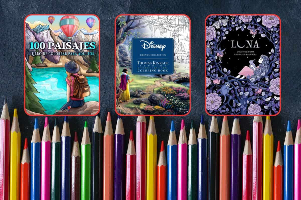 Libros Para Colorear Con Dibujos Para Adultos: Libros para colorear con  dibujos para adultos (Reino Mágico 2) : Este libro contiene 40 láminas para  colorear que se pueden usar para pintarlas, enmarcarlas