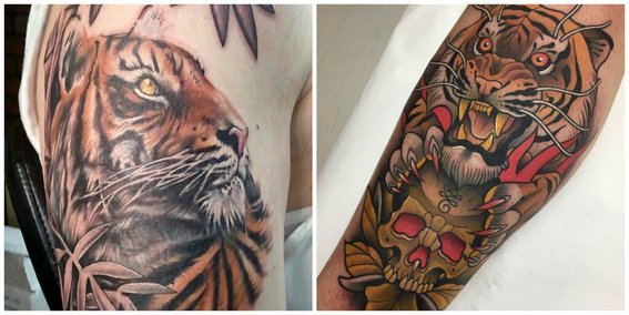 Premium Vector  Japanese tattoo design with tiger