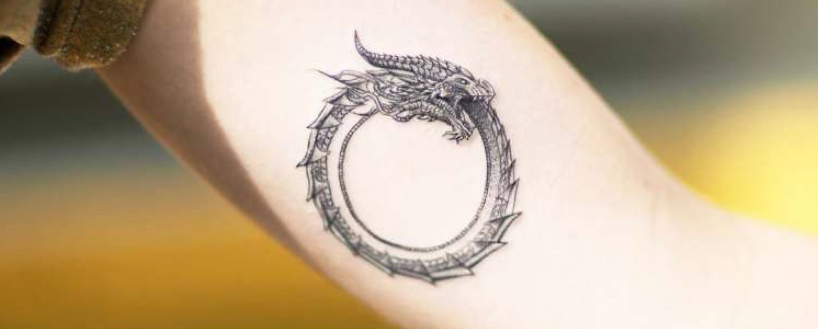 tattoo of an exploding ouroboros on arm studio  Stable Diffusion   OpenArt