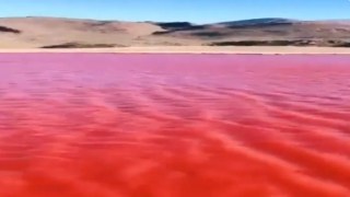nile river with red waters
